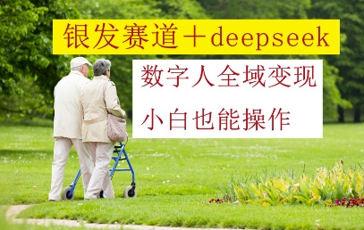 银发赛道+deepseek数字人全域变现，小白也能操作-个人优选资源共享